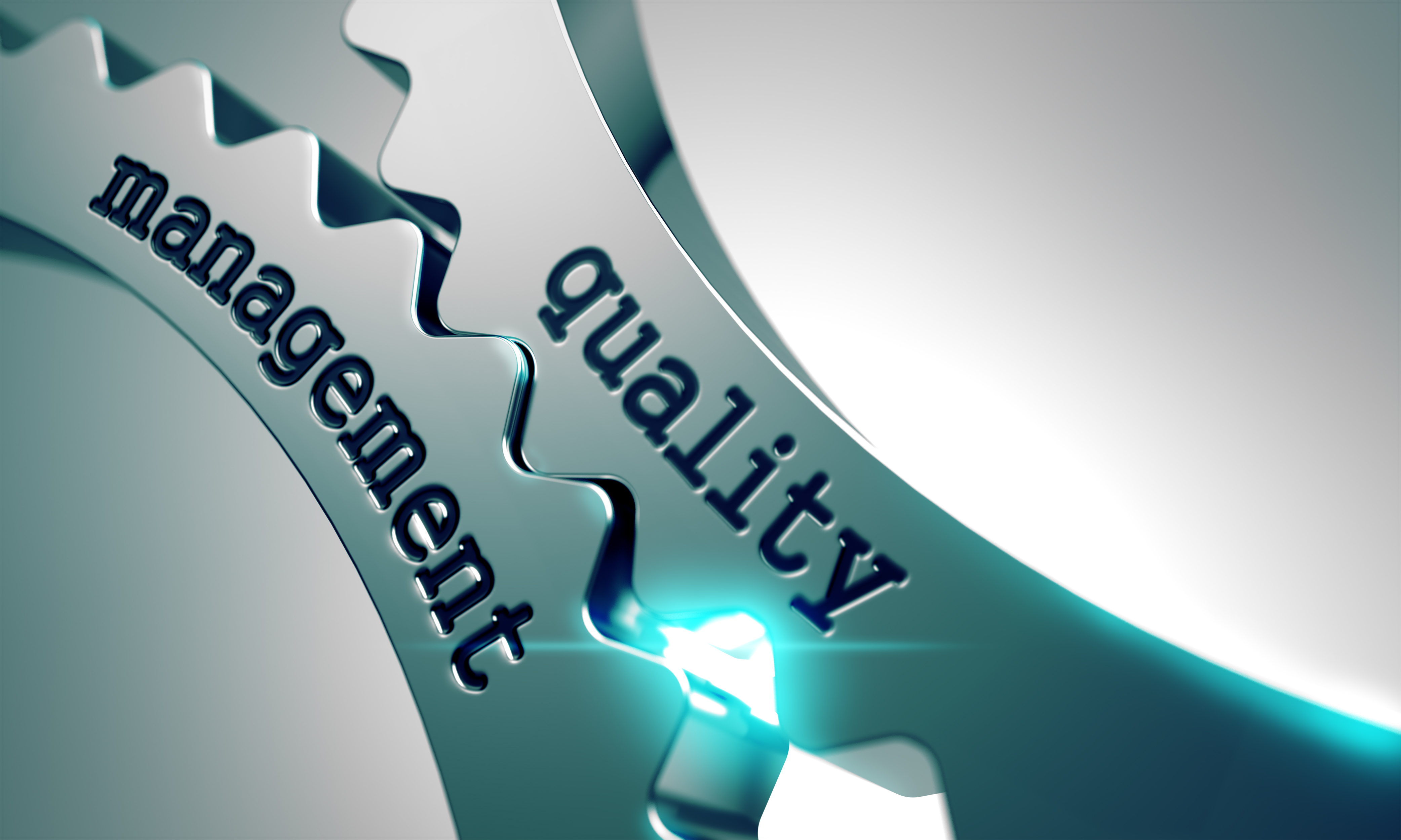 Gurelan and quality: the engagement driving this project