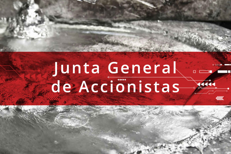 Junta General de Accionistas 2020